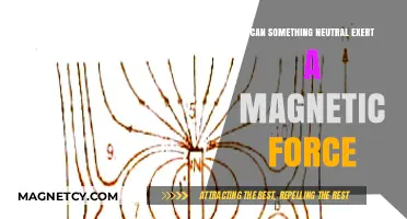 Neutral Objects and Magnetic Forces: Unraveling the Hidden Interactions
