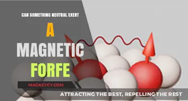 Neutral Objects and Magnetic Forces: Unraveling the Mystery of Interaction