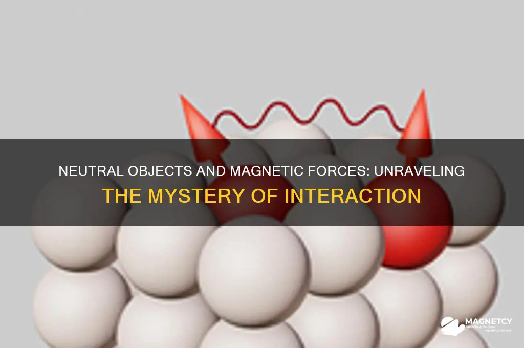 can something neutral exert a magnetic forfe