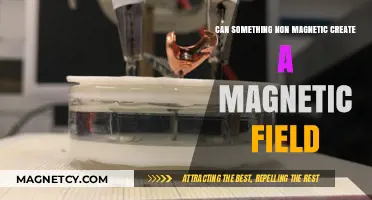 Non-Magnetic Materials: Can They Generate Magnetic Fields?