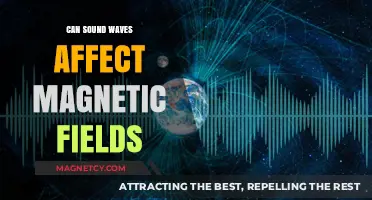 Exploring the Intriguing Link Between Sound Waves and Magnetic Fields