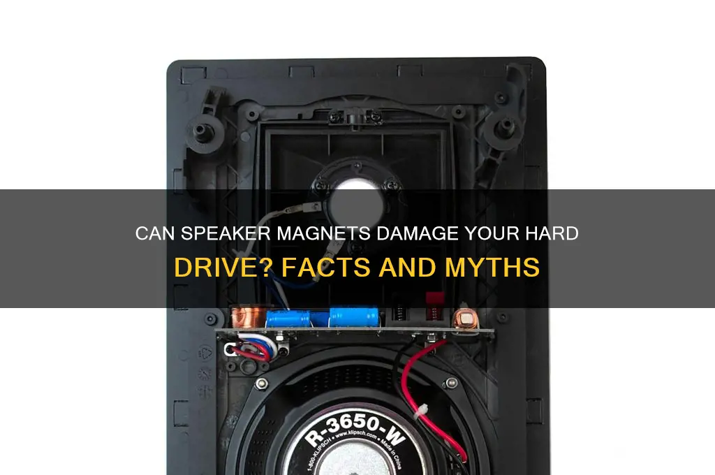 can speaker magnets affect a hard drive