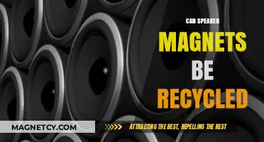 Recycling Speaker Magnets: Eco-Friendly Solutions for Old Audio Equipment