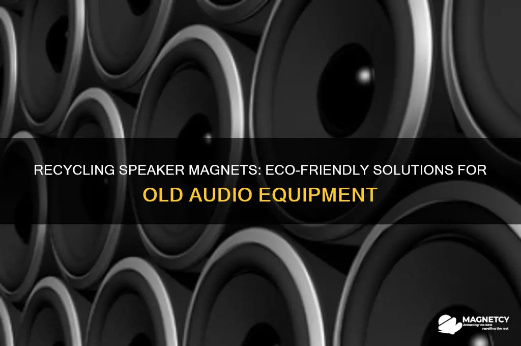can speaker magnets be recycled