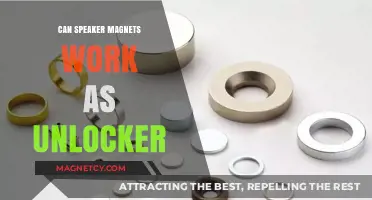 Speaker Magnets as Unlockers: Fact or Fiction? Exploring the Possibility