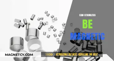 Is Stainless Steel Magnetic? Unraveling the Truth Behind the Myth