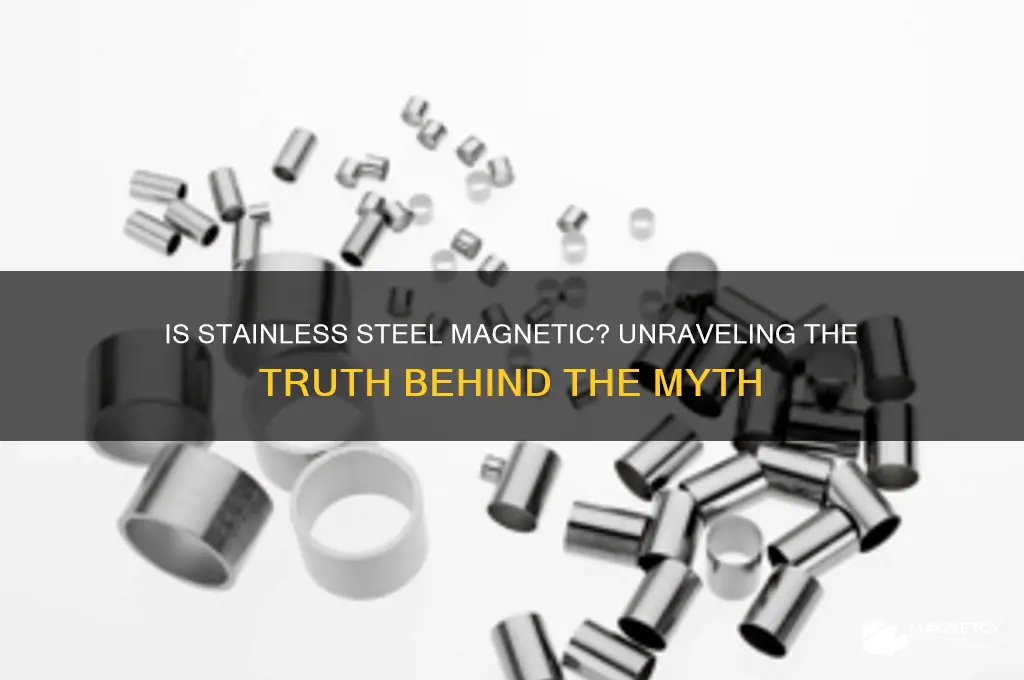 can stainless be magnetic