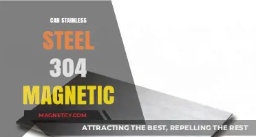 Is Stainless Steel 304 Magnetic? Unveiling the Truth Behind Its Properties