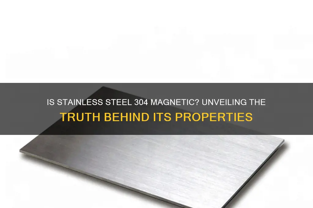 can stainless steel 304 magnetic