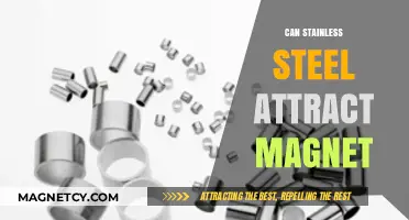 Does Stainless Steel Attract Magnets? Unraveling the Magnetic Mystery