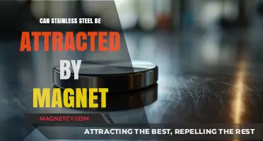 Is Stainless Steel Magnetic? Unveiling the Truth Behind Magnet Attraction