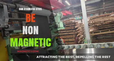 Is Stainless Steel Non-Magnetic? Understanding Its Magnetic Properties