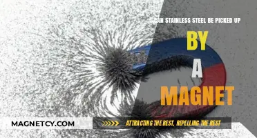 Can Stainless Steel Be Magnetic? Unraveling the Truth Behind the Myth