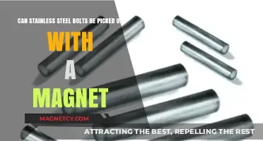 Magnetic Mystery: Can Stainless Steel Bolts Stick to Magnets?
