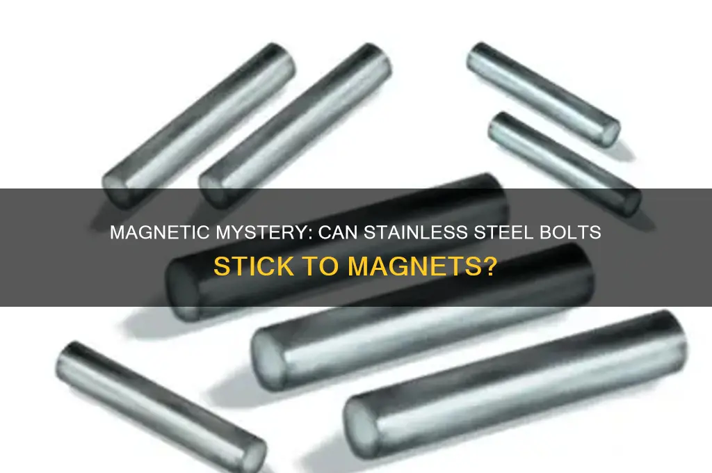 can stainless steel bolts be picked up with a magnet