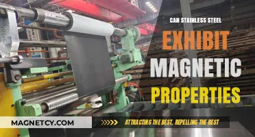Can Stainless Steel Be Magnetic? Unraveling the Metal's Properties
