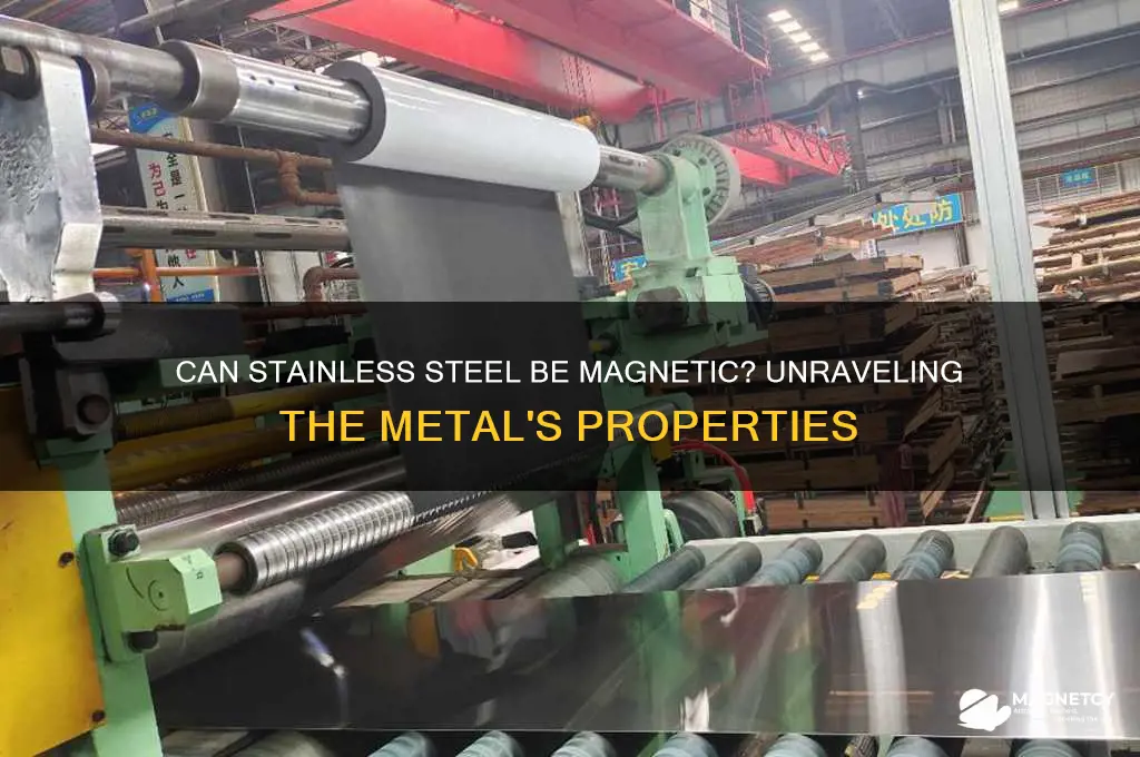 can stainless steel exhibit magnetic properties