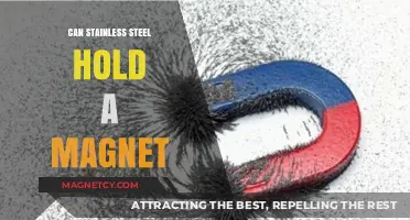 Does Stainless Steel Attract Magnets? Unraveling the Magnetic Mystery