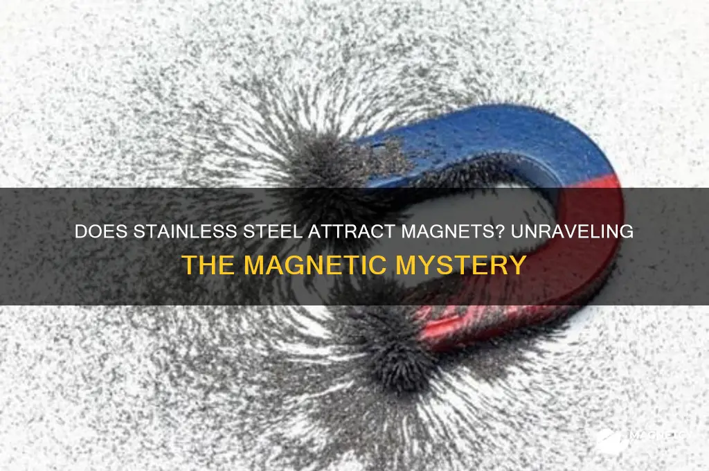 can stainless steel hold a magnet