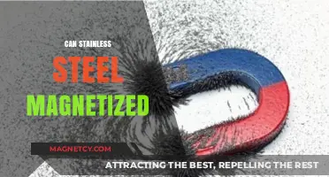 Can Stainless Steel Be Magnetized? Unveiling the Magnetic Truth