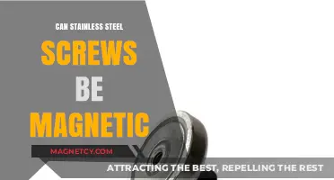 Are Stainless Steel Screws Magnetic? Unveiling the Surprising Truth