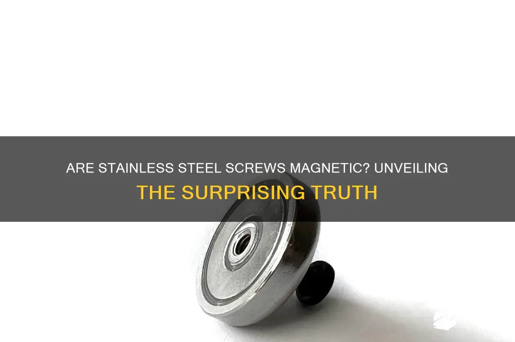 can stainless steel screws be magnetic