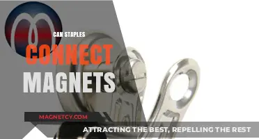 Can Staples Connect Magnets? Exploring Metal Fasteners and Magnetic Attraction