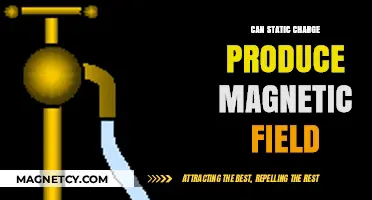 Can Static Charge Generate Magnetic Fields? Exploring the Science Behind It