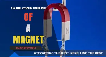 Does Steel Stick to Both Magnet Poles? Exploring Magnetic Attraction