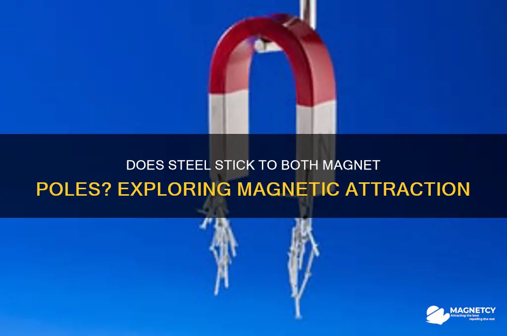 can steel attach to either pole of a magnet