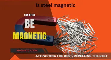 Can Steel Be Magnetic? Exploring the Science Behind Magnetic Properties