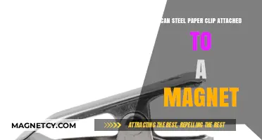 Can a Steel Paper Clip Stick to a Magnet? Exploring Magnetic Attraction