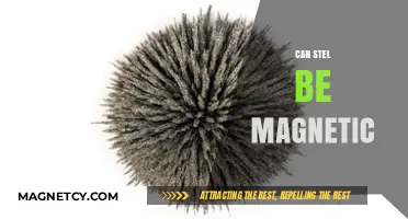 Can Steel Be Magnetic? Exploring Its Properties and Applications