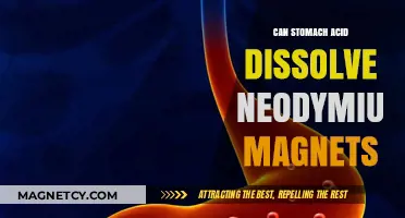 Can Stomach Acid Dissolve Neodymium Magnets? Unraveling the Myth