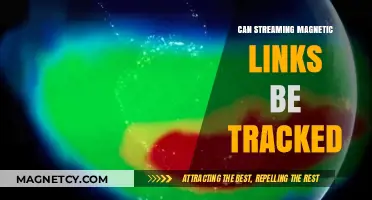 Can Streaming Magnetic Links Be Tracked? Privacy Risks Explained