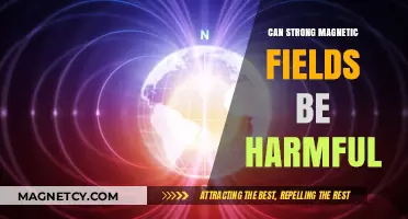 Strong Magnetic Fields: Potential Health Risks and Safety Concerns Explored