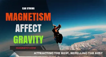 Magnetism's Gravity Influence: Unraveling the Connection Between Forces