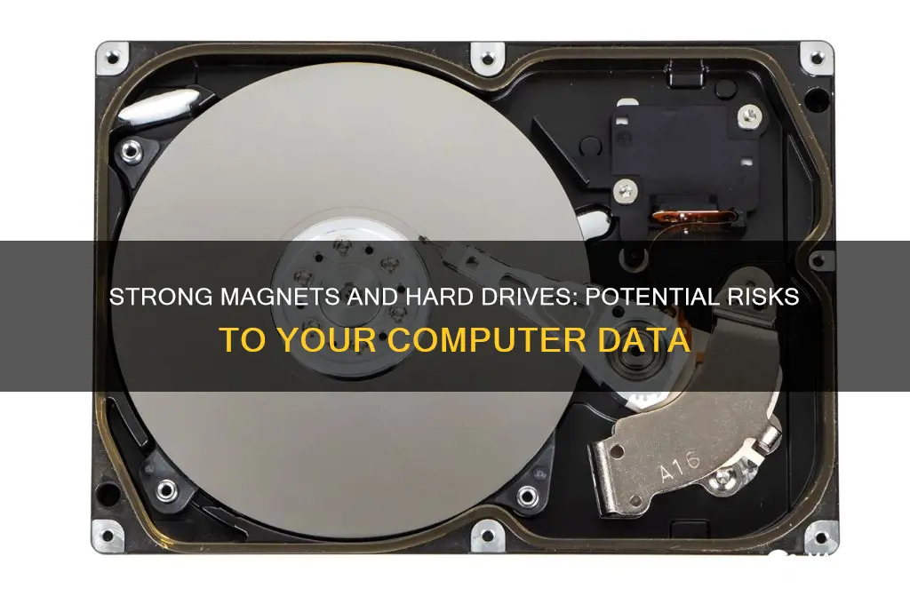 can strong magnets affect my computer hard drive