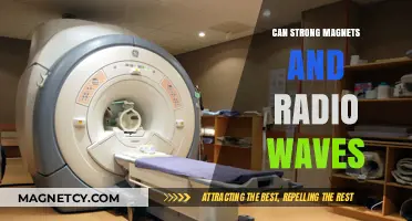 Strong Magnets and Radio Waves: Unveiling Their Intriguing Interaction