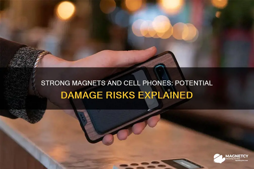 can strong magnets damage cell phones