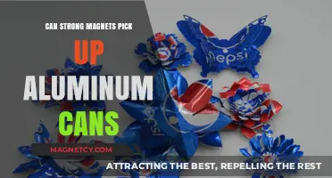 Can Strong Magnets Attract Aluminum Cans? Surprising Facts Revealed