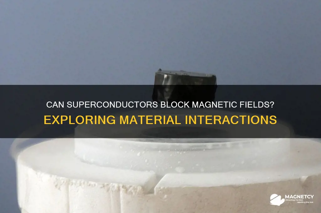 can super conductive materials stop magnetism