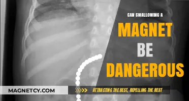 Swallowing Magnets: Hidden Dangers and Potential Health Risks Explained