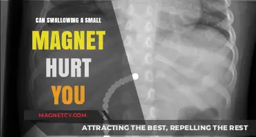 Swallowing Small Magnets: Potential Risks and Health Concerns Explained