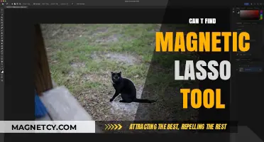 Where is the Magnetic Lasso Tool? A Quick Troubleshooting Guide