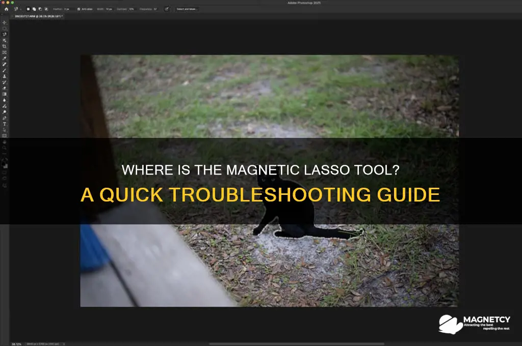 can t find magnetic lasso tool