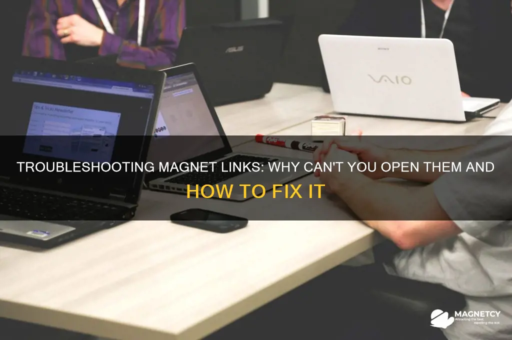 can t open magnet link