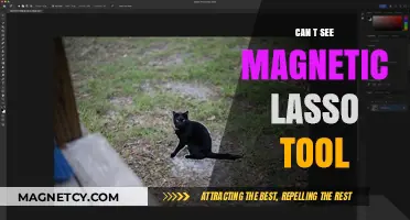 Troubleshooting: Why Can't I See the Magnetic Lasso Tool in Photoshop?