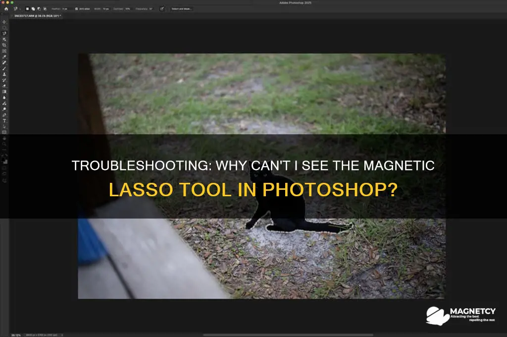 can t see magnetic lasso tool