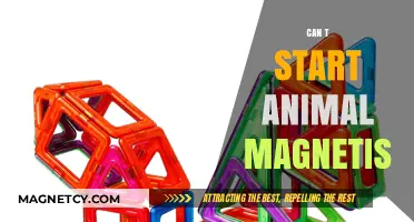 Unlocking Animal Magnetism: Overcoming Blocks to Start Your Charismatic Journey